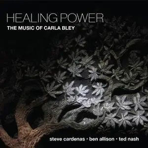 Steve Cardenas - Healing Power - The Music of Carla Bley (2022) [Official Digital Download 24/96]