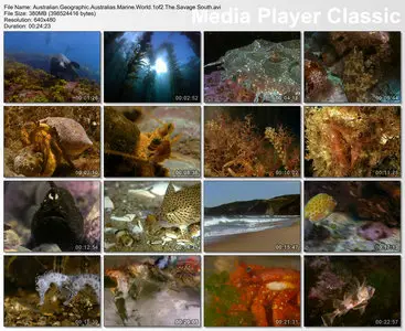 Australian Geographic - Australia's Marine World