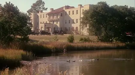 Rambling Rose (1991)