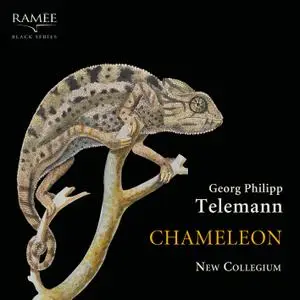 New Collegium - Telemann: Chameleon (2019) [Official Digital Download 24/96]