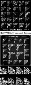 Vectors - White Ornamental Corners