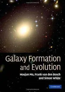 Galaxy Formation and Evolution (Repost)