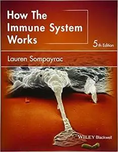 How the Immune System Works (5th Edition) (Repost)