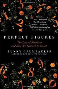 Perfect Figures: The Lore of Numbers and How We Learned to Count