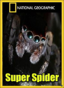 National Geographic - Super Spider (2012)