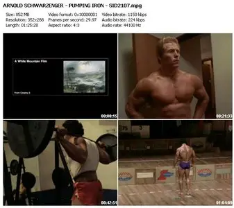 Arnold Schwarzenegger Pumping Iron (2003)