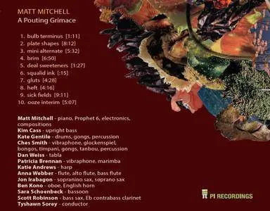 Matt Mitchell - A Pouting Grimace (2017) {Pi Recordings}