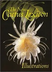 The New Cactus Lexicon: Illustrations