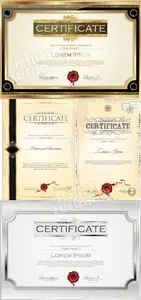 Certificate vector