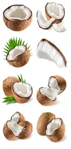 Coconut on white background Part01