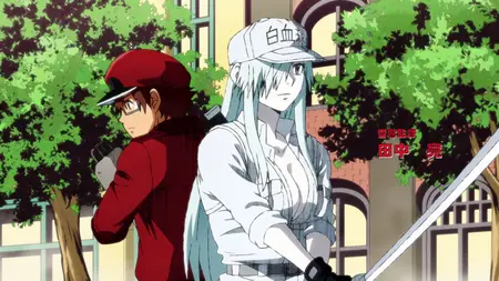 Hataraku Saibou Black - 02 Dual Audio 10bit BD1080p x265