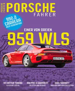 Porsche Fahrer - 16 Januar 2025