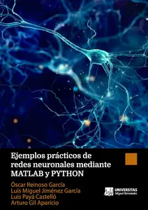 Ejemplos prácticos de redes neuronales mediante MATLAB y PYTHON (Spanish Edition)