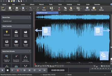 WavePad Masters Edition 24.55