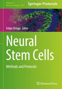 Neural Stem Cells