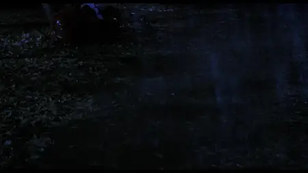 Halloween: The Curse of Michael Myers (1995)