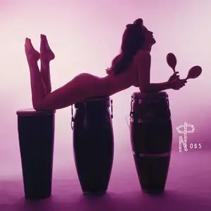 VA - Technicolor Paradise: Rhum Rhapsodies & Other Exotic Delights (2018)