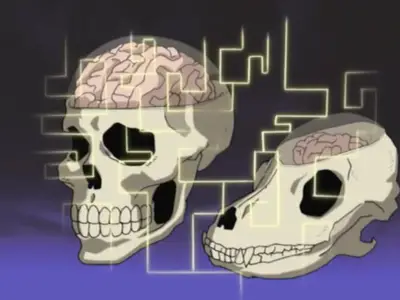 Naruto S05E27 Genjutsu or Reality REPACK