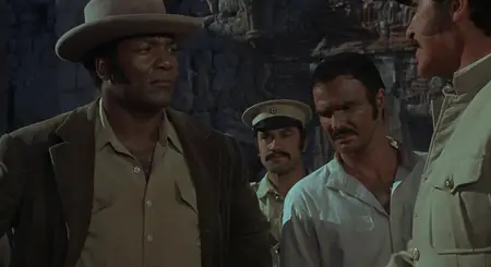 100 Rifles (1969)