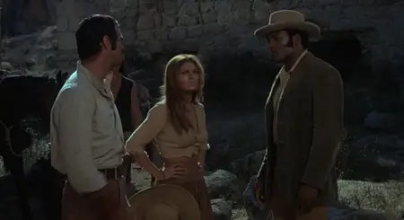 100 Rifles (1969)