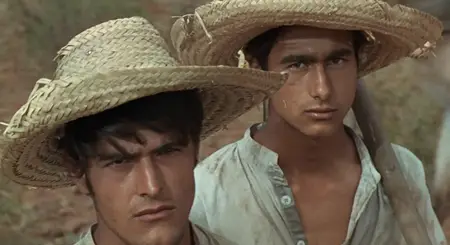 100 Rifles (1969)