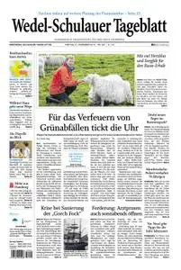 Wedel-Schulauer Tageblatt - 21. Dezember 2018