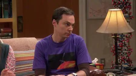 The Big Bang Theory S11E08