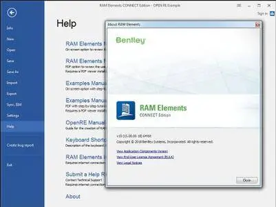 RAM Elements CONNECT Edition V15