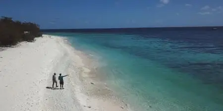 BBC Our World - The Battle for the Great Barrier Reef (2019)