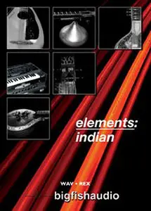 Big Fish Audio Elements Indian WAV REX