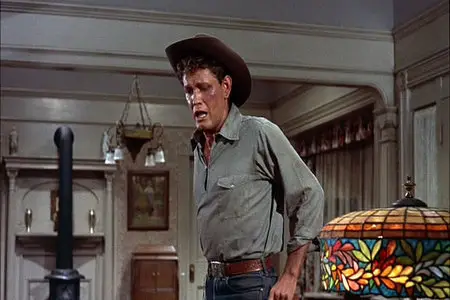 The Rainmaker - by Joseph Anthony (1956)