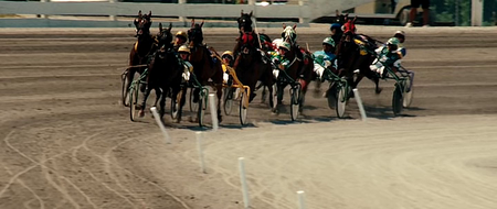 Amazing Racer (2012)