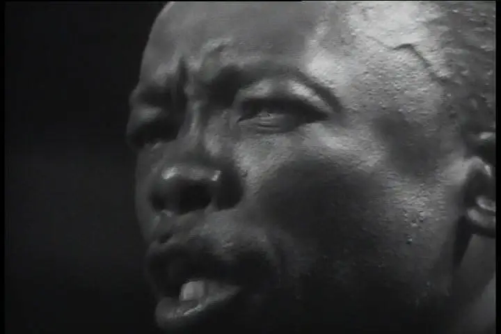 John Lee Hooker - Rare Performances 1960-1984 (2002)