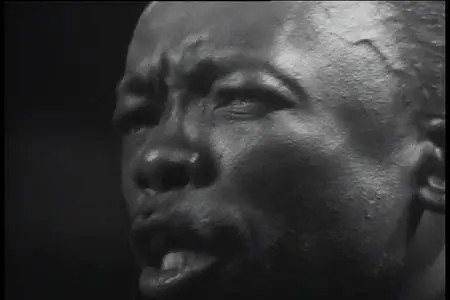 John Lee Hooker - Rare Performances 1960-1984 (2002)