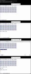 Master vi / vim Linux Command Line Text Editor