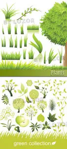 Plants