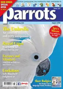 Parrots - August 2016