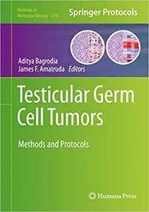 Testicular Germ Cell Tumors: Methods and Protocols