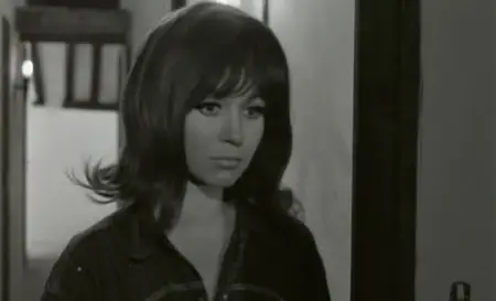 L'enfer dans la peau / Sexus (1965) [Repost]