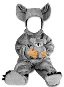 Template Koala for Photoshop