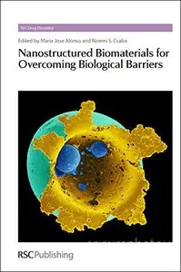 Nanostructured Biomaterials for Overcoming Biological Barriers: RSC (RSC Drug Discovery)