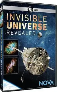 PBS Nova - Invisible Universe Revealed: 25 years of Hubble (2015)