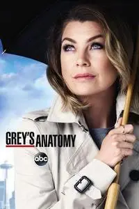 Grey's Anatomy S15E22