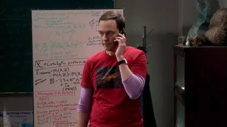 The Big Bang Theory S01E07