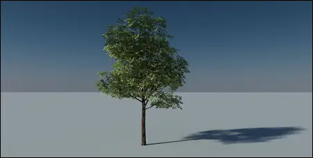Tree 3d with Opacity Map