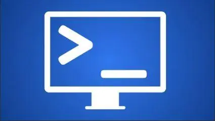 Bash Shell Scripting 1 Hour Intro: Start Automating Today