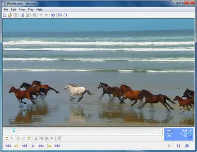 Machete 3.8 Build 11 