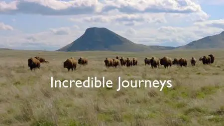 BBC - Incredible Journeys with Simon Reeve (2021)