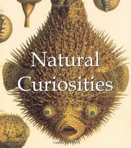 Natural Curiousities (Mega Square Collection)