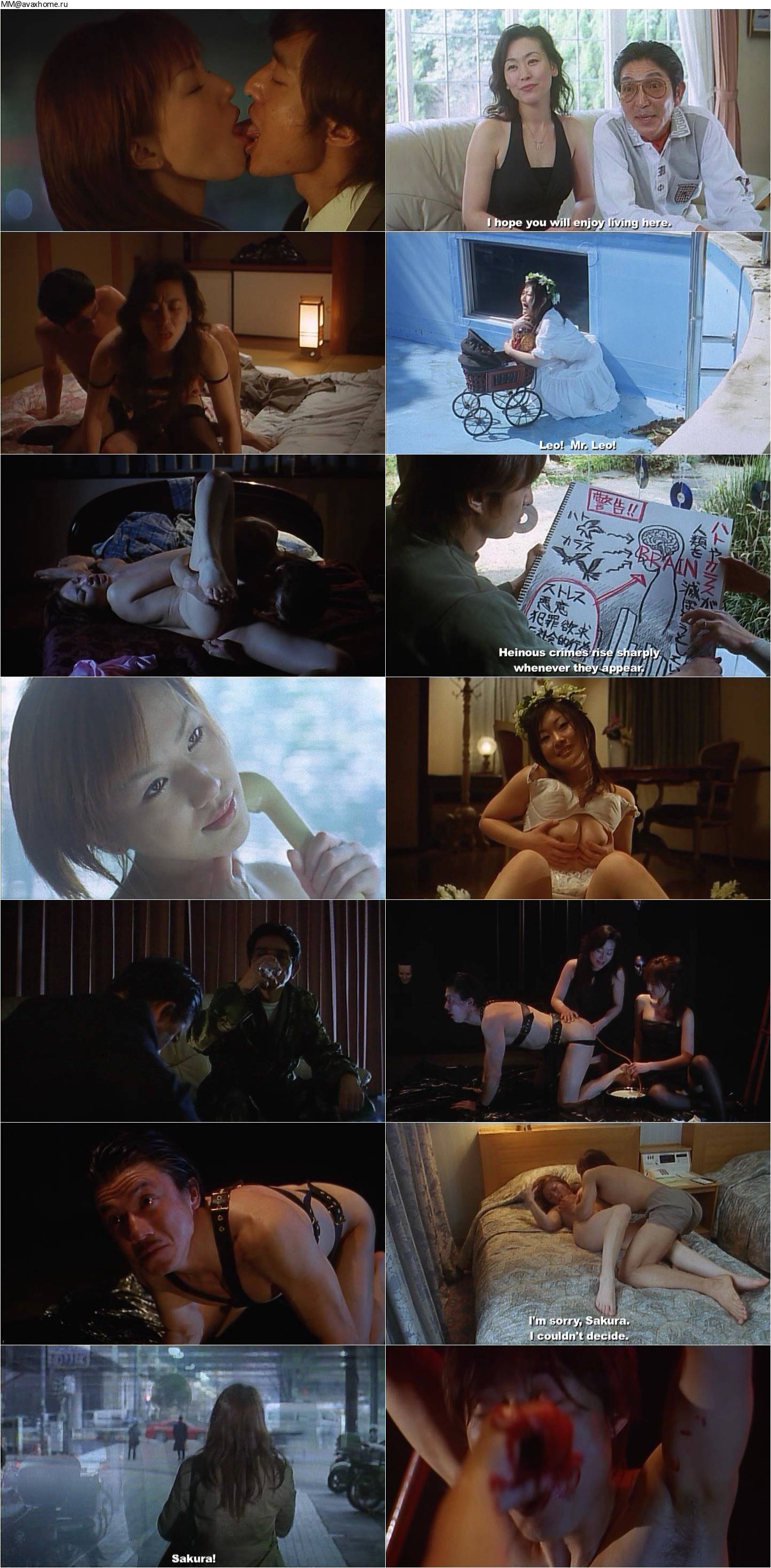The Japanese Wife Next Door: Part 2 (2004) .